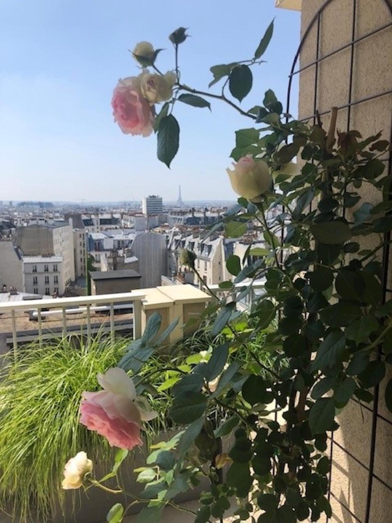 Magnificent Penthouse Panaramic View Of *
